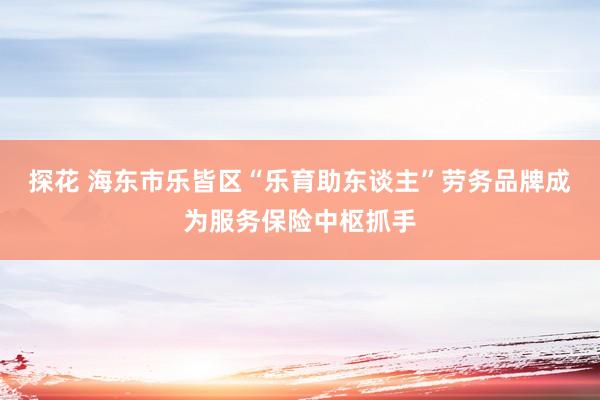 探花 海东市乐皆区“乐育助东谈主”劳务品牌成为服务保险中枢抓手