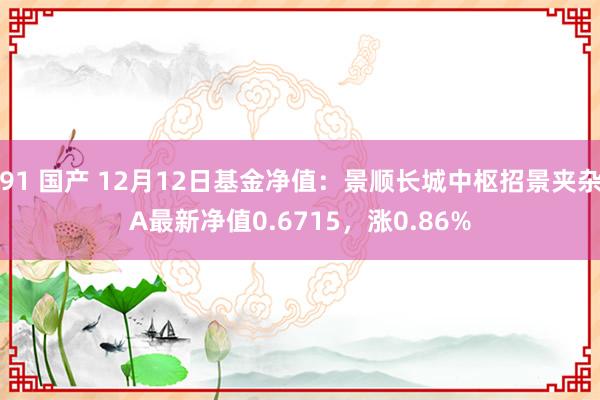 91 国产 12月12日基金净值：景顺长城中枢招景夹杂A最新净值0.6715，涨0.86%