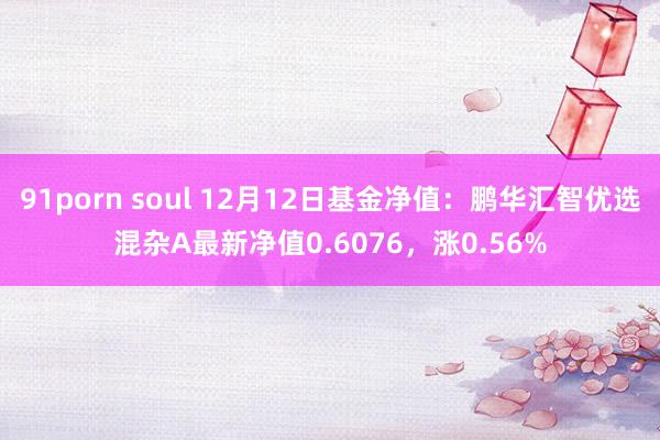 91porn soul 12月12日基金净值：鹏华汇智优选混杂A最新净值0.6076，涨0.56%