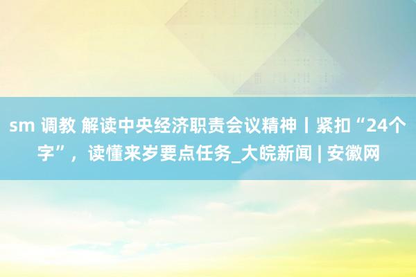 sm 调教 解读中央经济职责会议精神丨紧扣“24个字”，读懂来岁要点任务_大皖新闻 | 安徽网