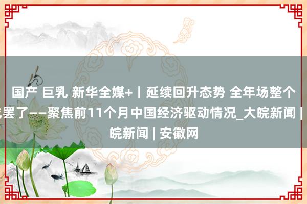 国产 巨乳 新华全媒+丨延续回升态势 全年场整个望告成罢了——聚焦前11个月中国经济驱动情况_大皖新闻 | 安徽网