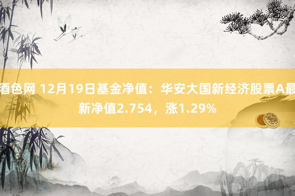 酒色网 12月19日基金净值：华安大国新经济股票A最新净值2.754，涨1.29%