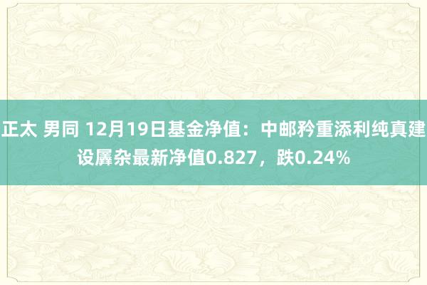 正太 男同 12月19日基金净值：中邮矜重添利纯真建设羼杂最新净值0.827，跌0.24%