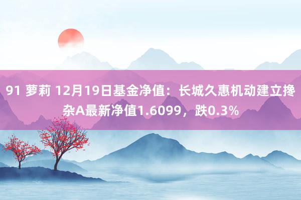 91 萝莉 12月19日基金净值：长城久惠机动建立搀杂A最新净值1.6099，跌0.3%