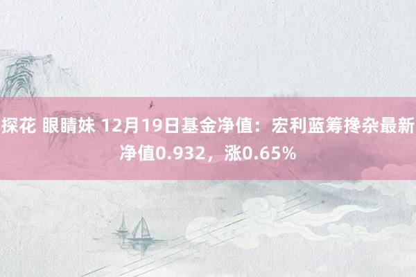 探花 眼睛妹 12月19日基金净值：宏利蓝筹搀杂最新净值0.932，涨0.65%