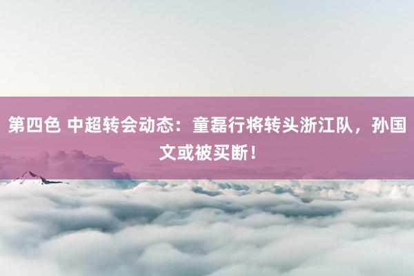 第四色 中超转会动态：童磊行将转头浙江队，孙国文或被买断！