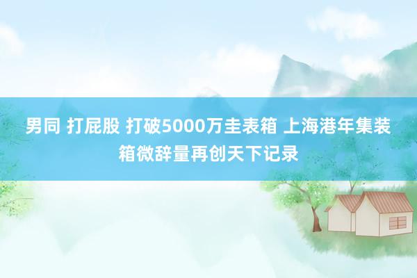 男同 打屁股 打破5000万圭表箱 上海港年集装箱微辞量再创天下记录