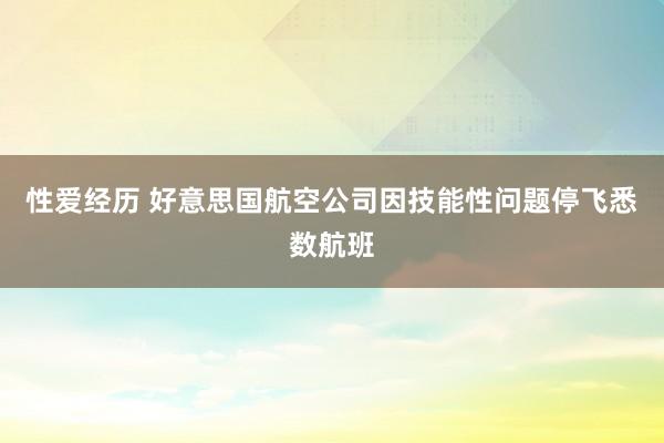 性爱经历 好意思国航空公司因技能性问题停飞悉数航班