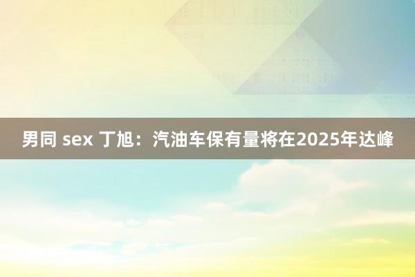 男同 sex 丁旭：汽油车保有量将在2025年达峰