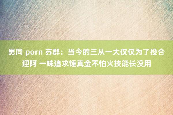 男同 porn 苏群：当今的三从一大仅仅为了投合迎阿 一味追求锤真金不怕火技能长没用