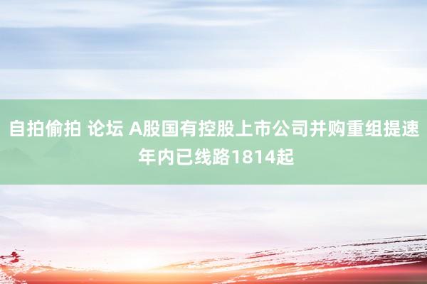 自拍偷拍 论坛 A股国有控股上市公司并购重组提速 年内已线路1814起