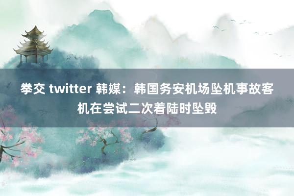 拳交 twitter 韩媒：韩国务安机场坠机事故客机在尝试二次着陆时坠毁