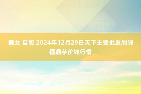 美女 自慰 2024年12月29日天下主要批发阛阓福鼎芋价钱行情