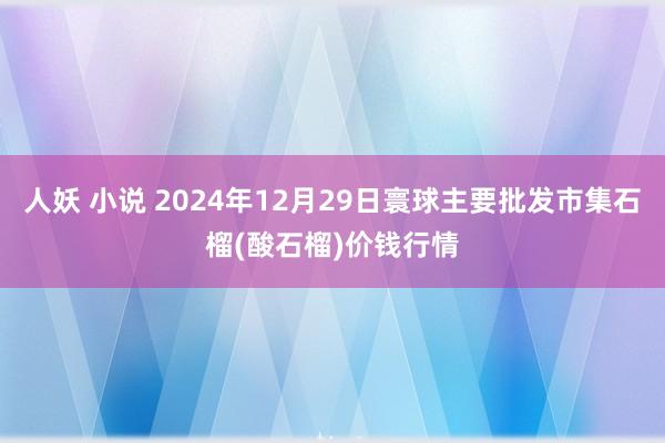 人妖 小说 2024年12月29日寰球主要批发市集石榴(酸石榴)价钱行情