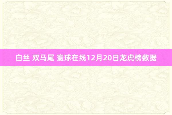 白丝 双马尾 寰球在线12月20日龙虎榜数据