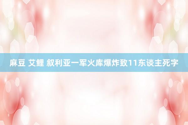 麻豆 艾鲤 叙利亚一军火库爆炸致11东谈主死字