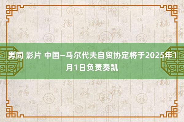 男同 影片 中国—马尔代夫自贸协定将于2025年1月1日负责奏凯