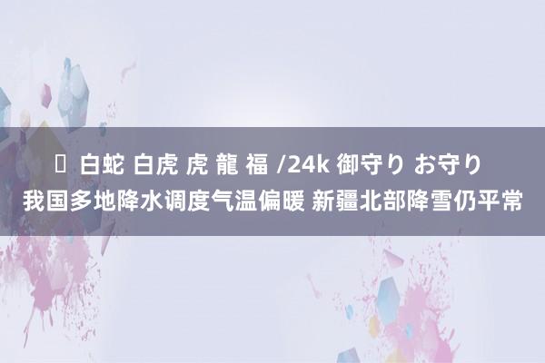 ✨白蛇 白虎 虎 龍 福 /24k 御守り お守り 我国多地降水调度气温偏暖 新疆北部降雪仍平常