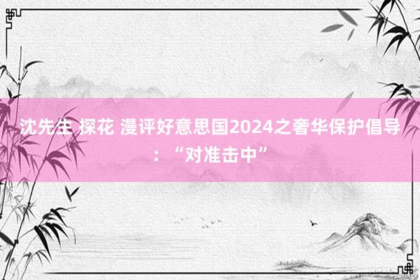 沈先生 探花 漫评好意思国2024之奢华保护倡导：“对准击中”