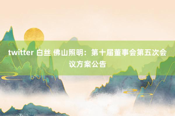 twitter 白丝 佛山照明：第十届董事会第五次会议方案公告