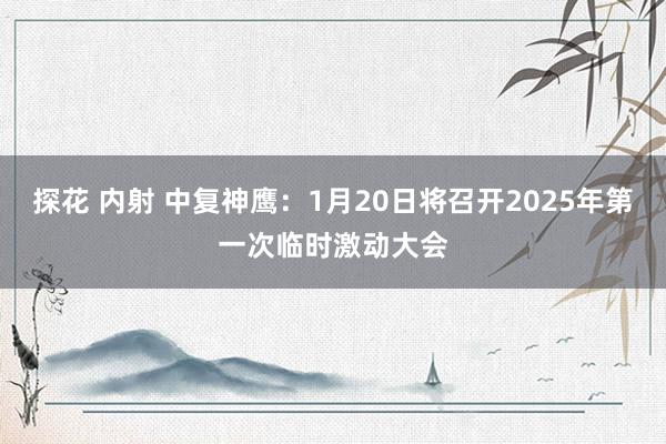 探花 内射 中复神鹰：1月20日将召开2025年第一次临时激动大会