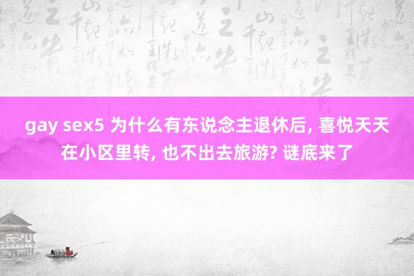 gay sex5 为什么有东说念主退休后， 喜悦天天在小区里转， 也不出去旅游? 谜底来了