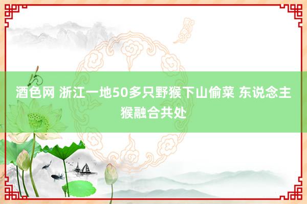 酒色网 浙江一地50多只野猴下山偷菜 东说念主猴融合共处