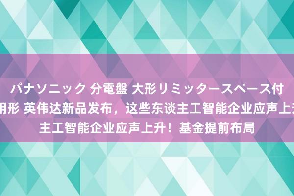 パナソニック 分電盤 大形リミッタースペース付 露出・半埋込両用形 英伟达新品发布，这些东谈主工智能企业应声上升！基金提前布局