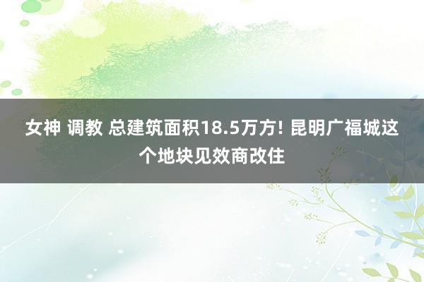 女神 调教 总建筑面积18.5万方! 昆明广福城这个地块见效商改住