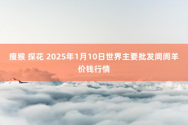 瘦猴 探花 2025年1月10日世界主要批发阛阓羊价钱行情