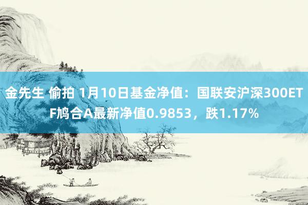 金先生 偷拍 1月10日基金净值：国联安沪深300ETF鸠合A最新净值0.9853，跌1.17%