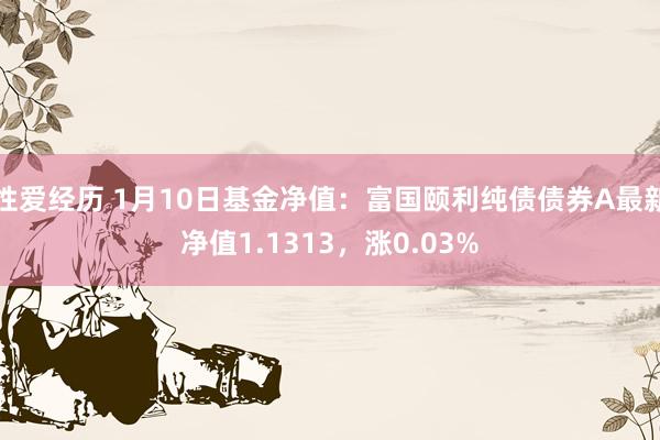 性爱经历 1月10日基金净值：富国颐利纯债债券A最新净值1.1313，涨0.03%