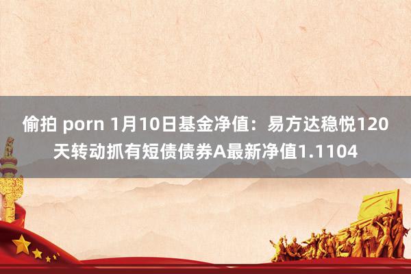 偷拍 porn 1月10日基金净值：易方达稳悦120天转动抓有短债债券A最新净值1.1104