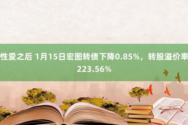 性爱之后 1月15日宏图转债下降0.85%，转股溢价率223.56%