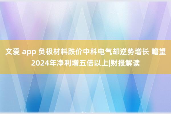 文爱 app 负极材料跌价中科电气却逆势增长 瞻望2024年净利增五倍以上|财报解读