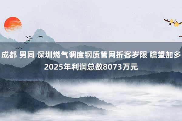 成都 男同 深圳燃气调度钢质管网折客岁限 瞻望加多2025年利润总数8073万元